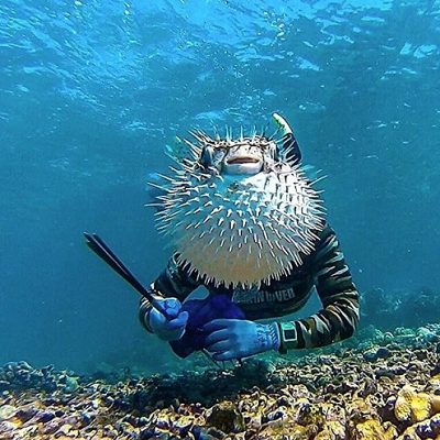 엣지있는 얼굴.PNG