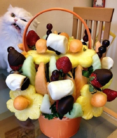 네 눈엔 이게 맛있어 보이니..PNG